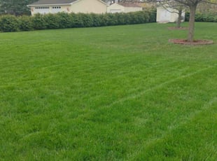 Ames M.'s Lawn Service service result