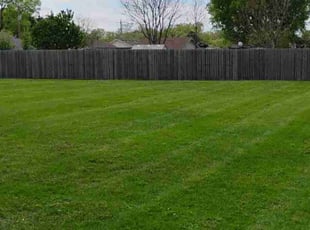 Anna M.'s Lawn Maintenance service result