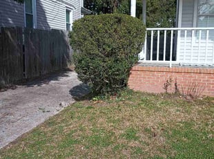 Bush Trimming by Sean Saulsby for Gabriela G. in Norfolk, VA