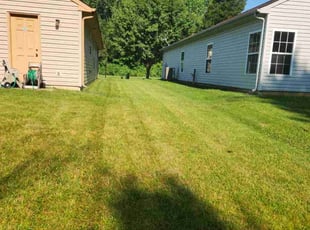 David T.'s Lawn Service service result