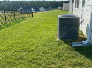 Mike D.'s Lawn Care service result