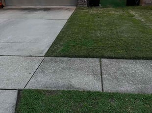Robby L.'s Lawn Mowing service result