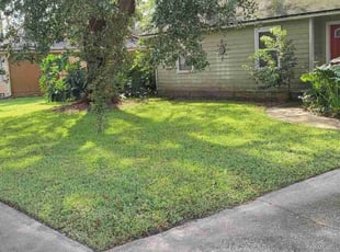 Carla B.'s Lawn Mowing service result