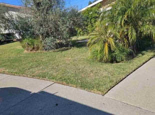 Randy D.'s Lawn Mowing service result