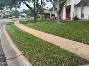 David R.'s Lawn Mowing service result
