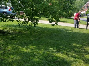 Weeding by James Steele for Michelle F. in Indian Trail, NC