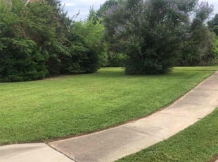 Jacqueline M.'s Grass Cutting service result