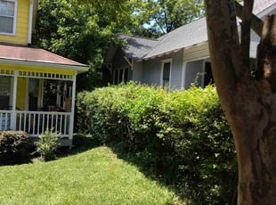 Bush Trimming by Nanda Cherry for Louis P. in Atlanta, GA