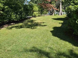 Verba W.'s Lawn Service service result