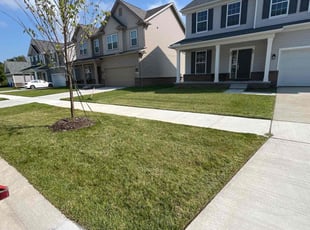 Elana H.'s Lawn Maintenance service result