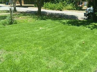 Nick S.'s Lawn Care service result