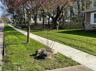 Kari E.'s Lawn Mowing Service service result