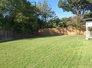 Zahira R.'s Yard Cutting service result
