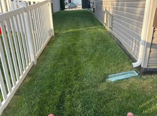 John D.'s Lawn Mowing service result