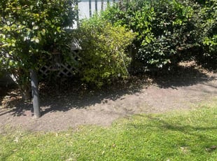 Weeding by Nelly Arredondo for Miry R. in Alexandria, VA
