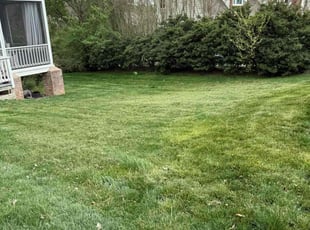 Farhan M.'s Yard Cutting service result
