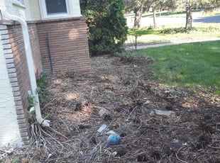 Bush Trimming by Victor Pollard for ABDI A. in Minneapolis, MN