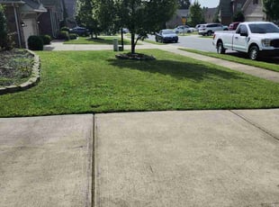 Donna A.'s Lawn Mowing Service service result