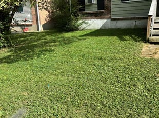 Trevor F.'s Lawn Mowing service result