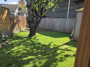 Deirdre M.'s Yard Cutting service result