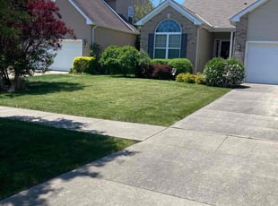 Christena O.'s Lawn Care service result