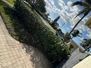 Bush Trimming by Deonte Deas for Linda K. in Deerfield Beach, FL
