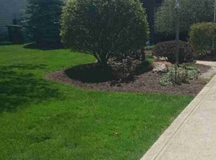 Kate B.'s Lawn Care service result