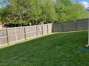 Diane W.'s Lawn Care service result