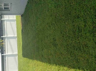 Giovanni B.'s Grass Cutting service result