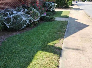 Kimmy H.'s Grass Cutting service result