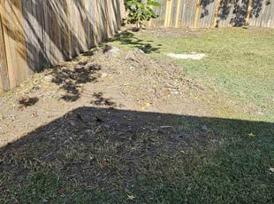 Cleanups by Adam Durgin for Khalil C. in Goose Creek, SC