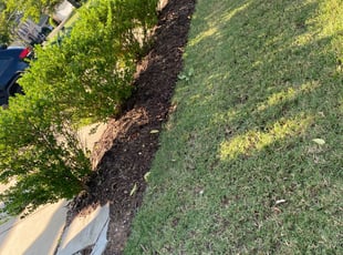 Weeding by Gilberto Nava for Michel T. in Nashville, TN