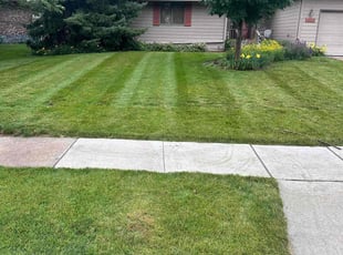 Irene S.'s Lawn Care service result