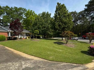 Constance Y.'s Lawn Care service result