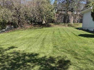 Three R.'s Lawn Care service result