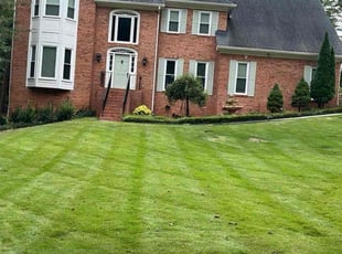 Brandi R.'s Lawn Service service result