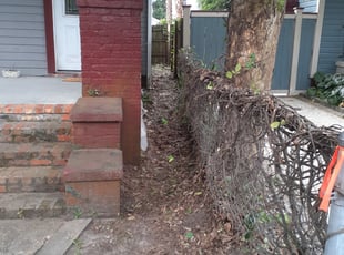 Cleanups by William Sellers for Danielle M. in Charleston, SC