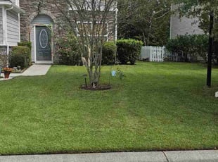 Claudette W.'s Lawn Mowing service result