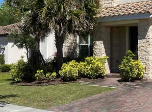 Taylor B.'s Lawn Care service result