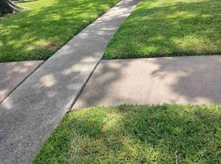 Cleanups by Curtis Woulard for Brandon M. in Pearland, TX