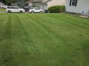 Anna F.'s Lawn Mowing service result