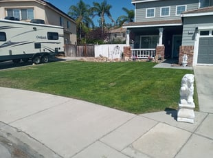 Gerrit T.'s Grass Cutting service result
