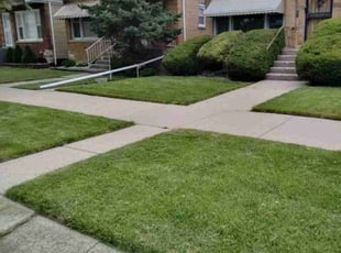 Guy M.'s Lawn Care service result