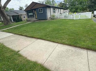 Leigh S.'s Yard Cutting service result