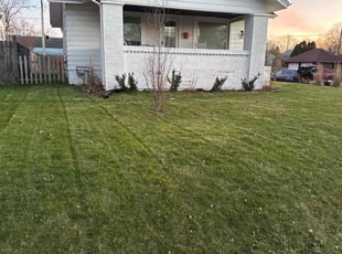 Ken T.'s Lawn Maintenance service result