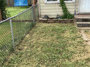 Sandy C.'s Yard Cutting service result
