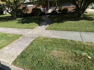 Shawna J.'s Lawn Mowing service result