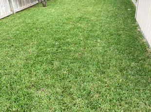 Charlie W.'s Lawn Service service result