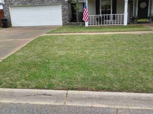 Miguel M.'s Grass Cutting service result