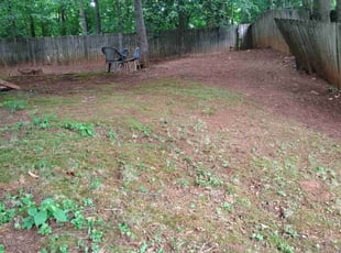 Leaf Removal by Zachary Cooper for Denise B. in Charlotte, NC